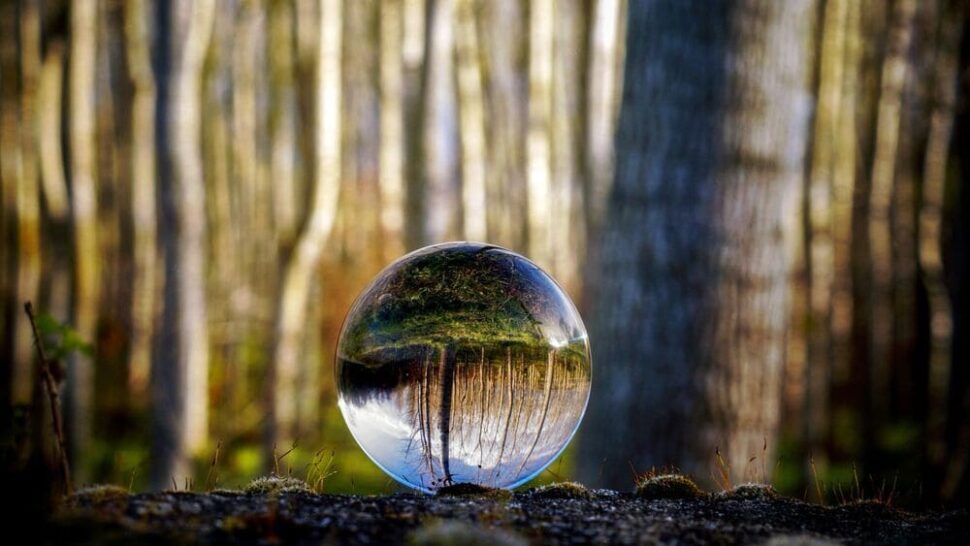 intuice
